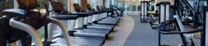 Row of treadmills in a bright, modern gym along a curved carpeted aisle by large windows.