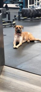 Delilah