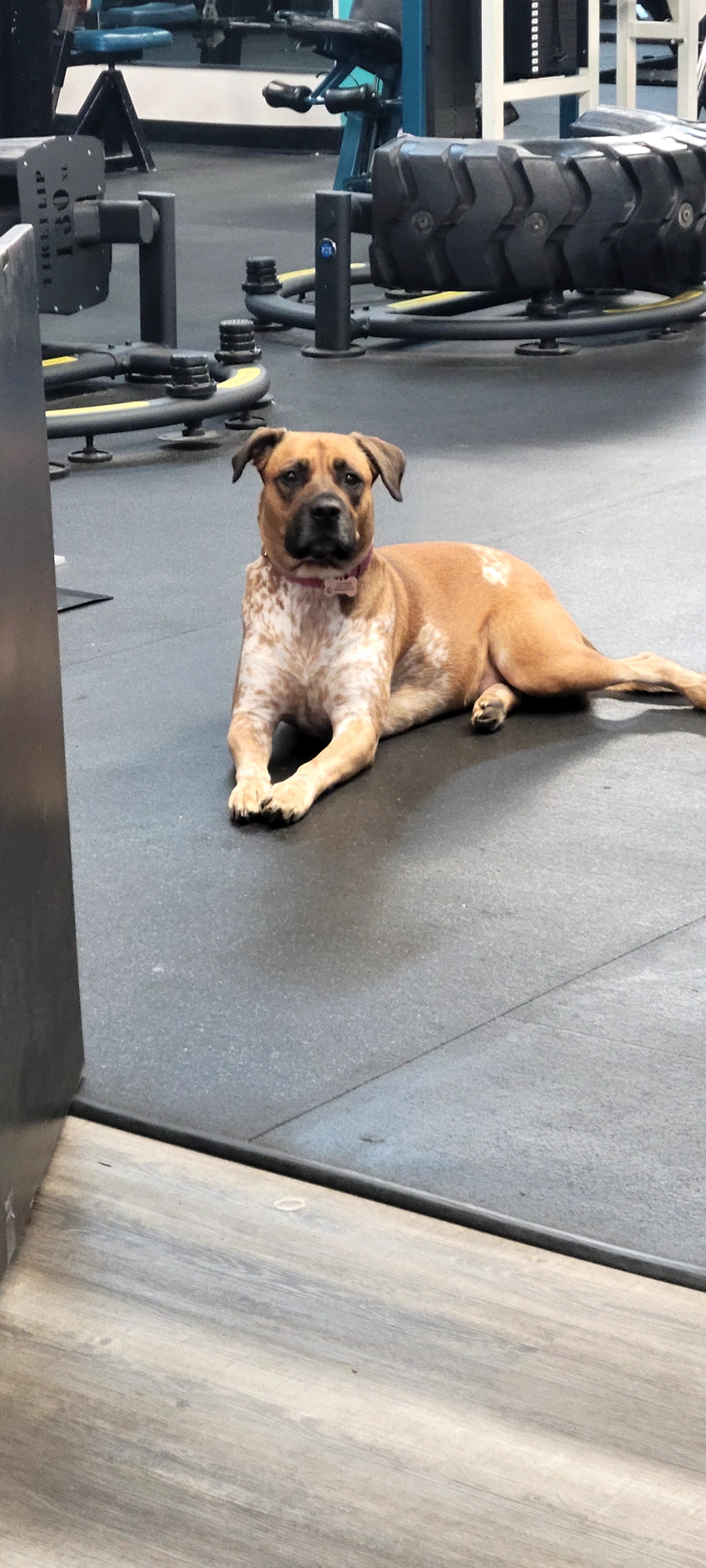 Delilah