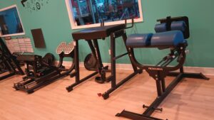 Row of Promaxima leg exercise machines in a gym with teal walls to the left and right edges showing equipment and wood floor beneath.